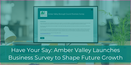 Amber Valley Business Survey